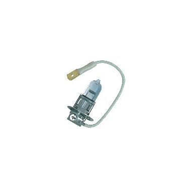 H3 Halogeen Lamp
